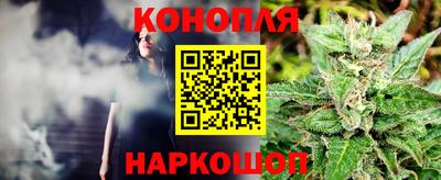 ГАЛЛЮЦИНОГЕННЫЕ ГРИБЫ Новозыбков