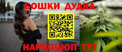 дурь Новодвинск