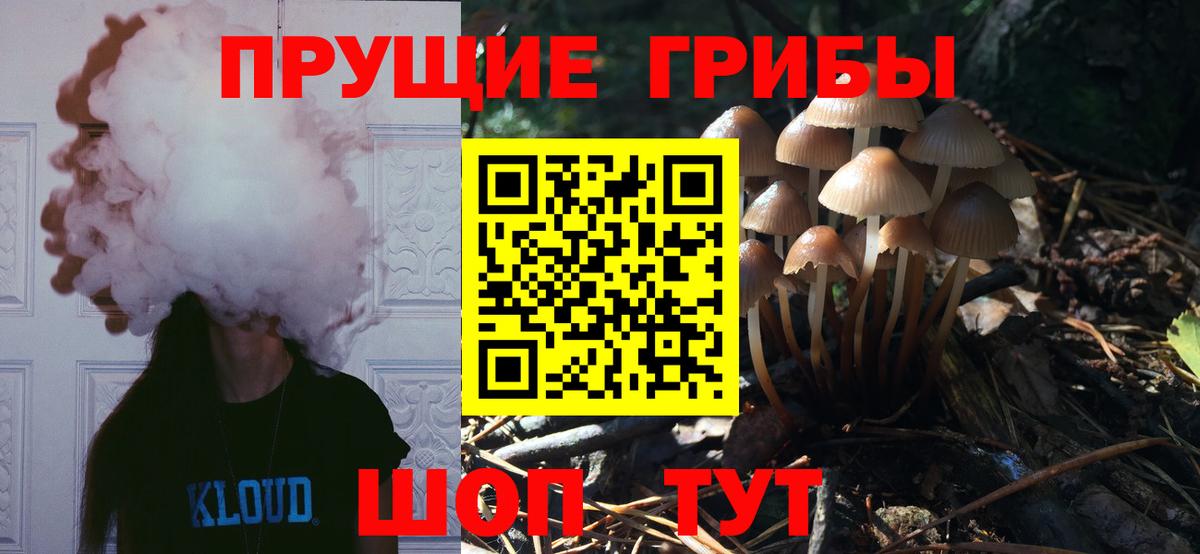 Псилоцибиновые грибы прущие грибы Орёл