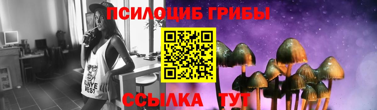 Орёл  Псилоцибиновые грибы Psilocybe  Псилоцибиновые грибы GOLDEN TEACHER  Вход с VPN 